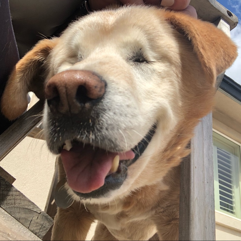 Meet your Posher, Tori